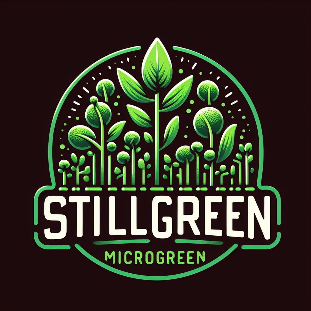 WhatsApp Image 2024-04-24 10.05.26